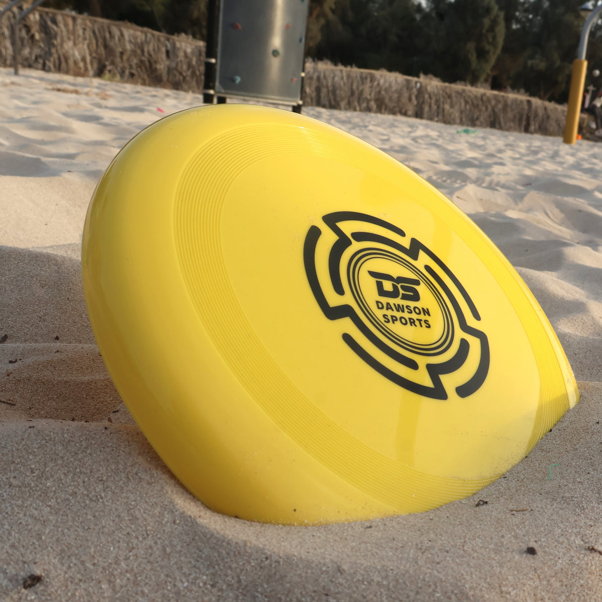 Plastic PVC Frisbee - 25.4cm (4 colors available)