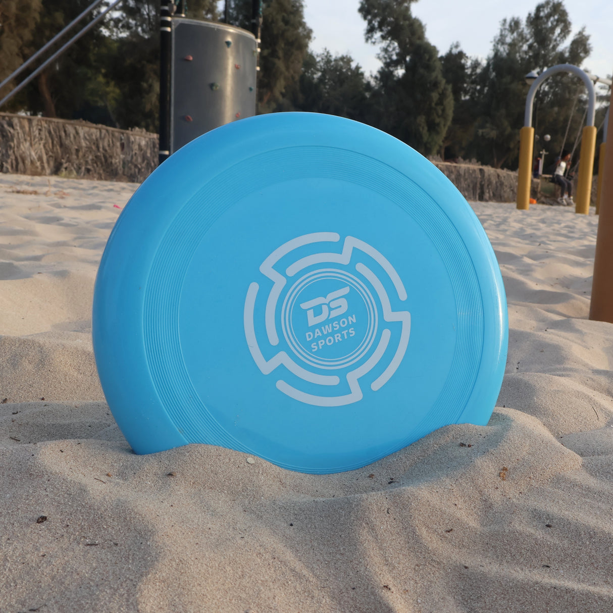 Plastic PVC Frisbee - 25.4cm (4 colors available)