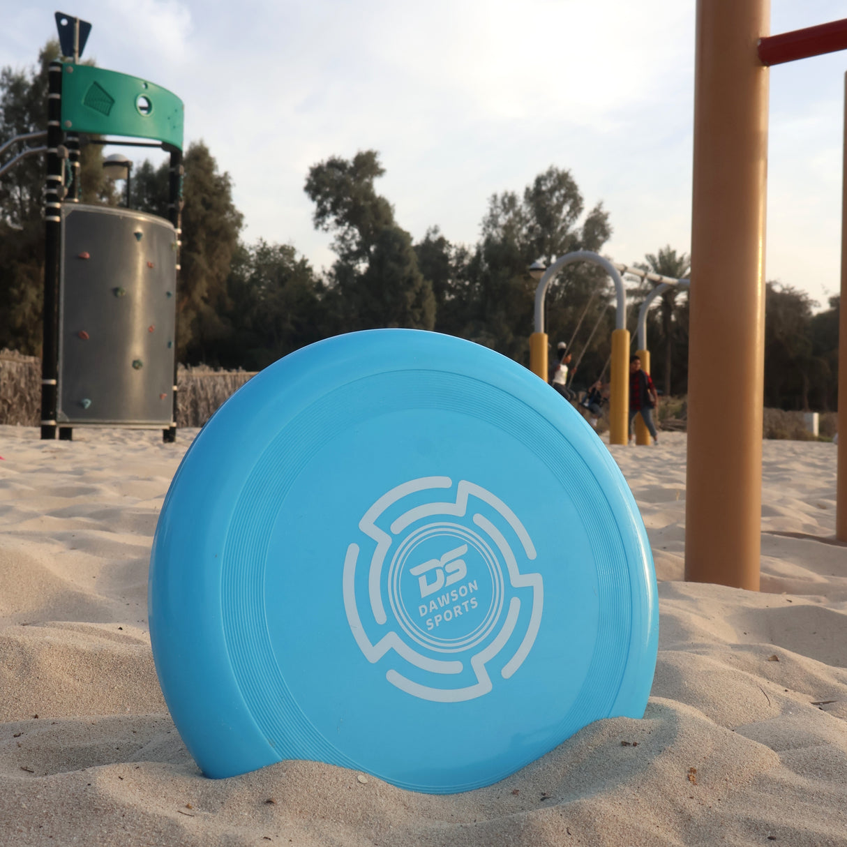 Plastic PVC Frisbee - 25.4cm (4 colors available)
