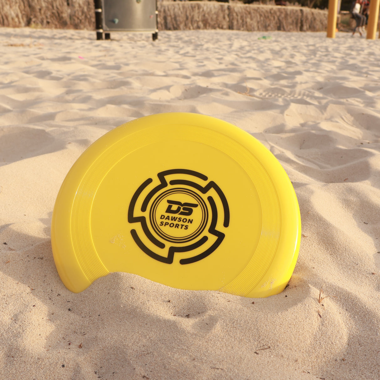 Plastic PVC Frisbee - 25.4cm (4 colors available)