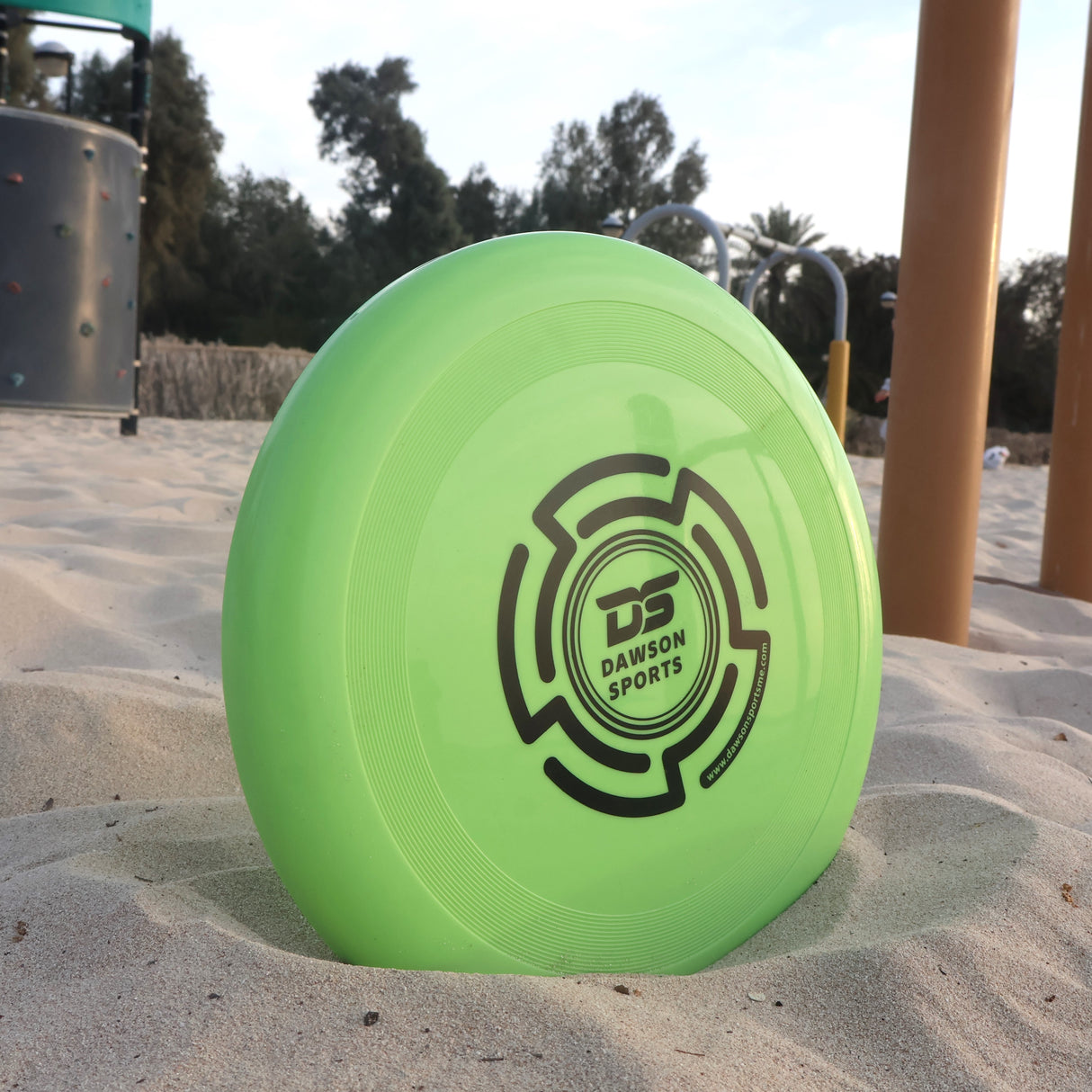 Plastic PVC Frisbee - 25.4cm (4 colors available)