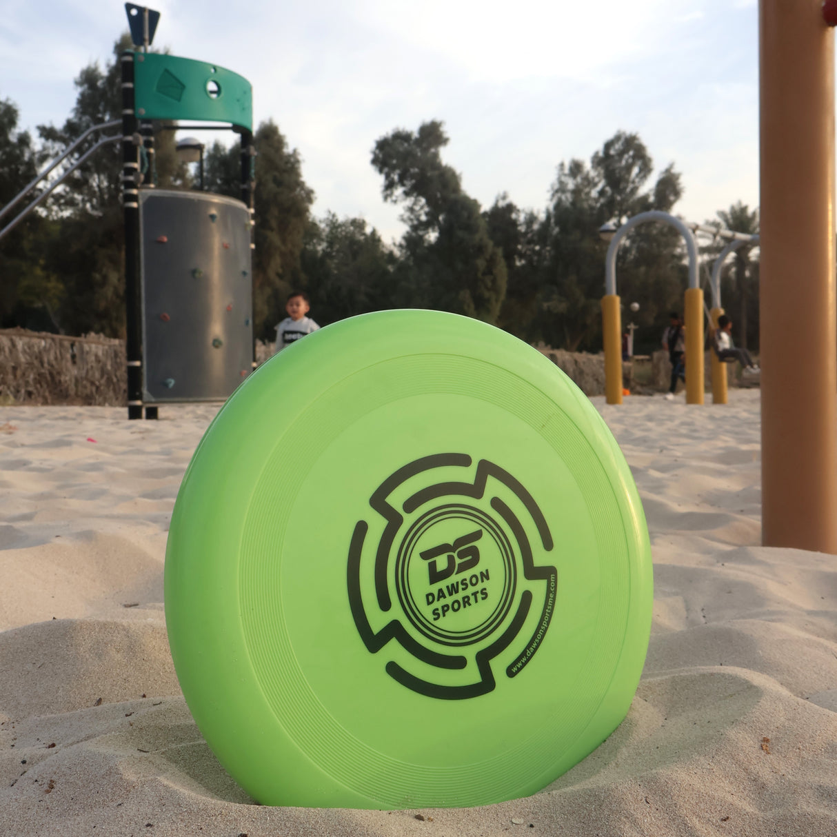 Plastic PVC Frisbee - 25.4cm (4 colors available)