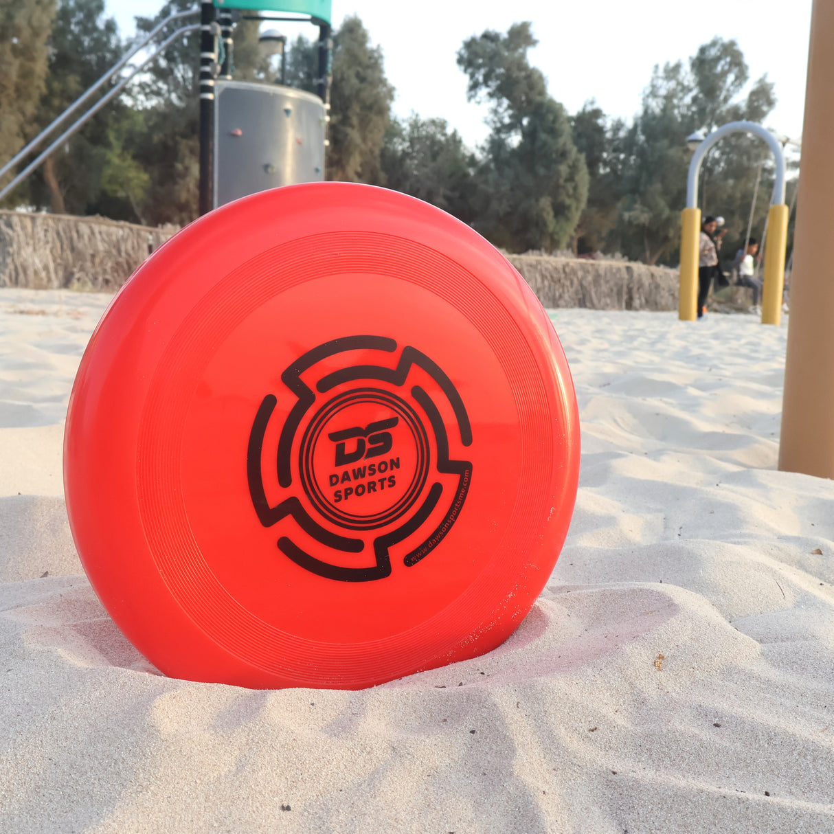 Plastic PVC Frisbee - 25.4cm (4 colors available)