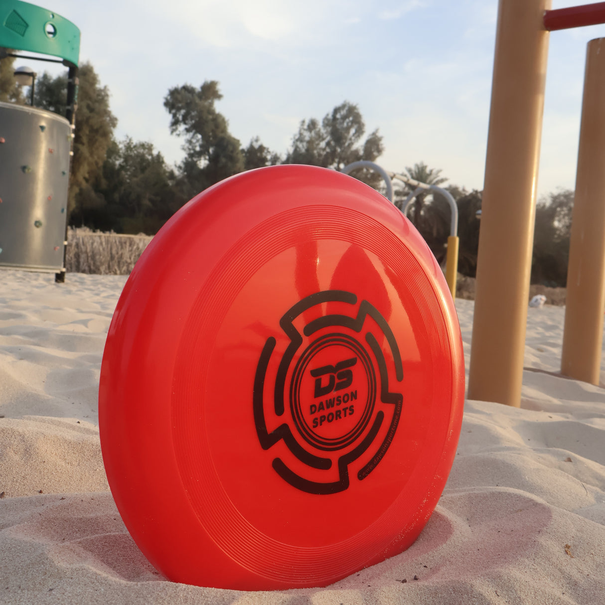 Plastic PVC Frisbee - 25.4cm (4 colors available)