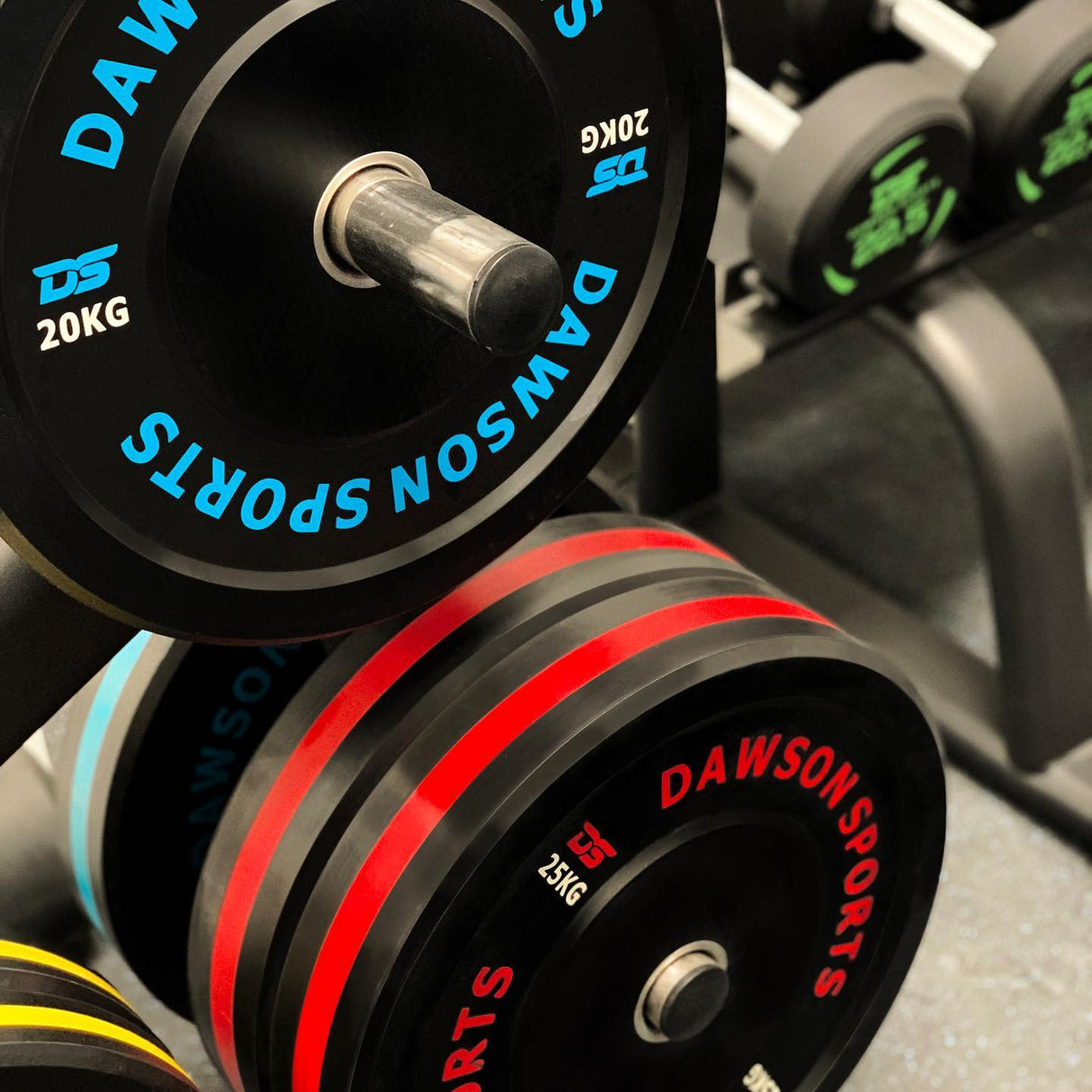 Rubber Bumper Plates (w/ upturned ring)