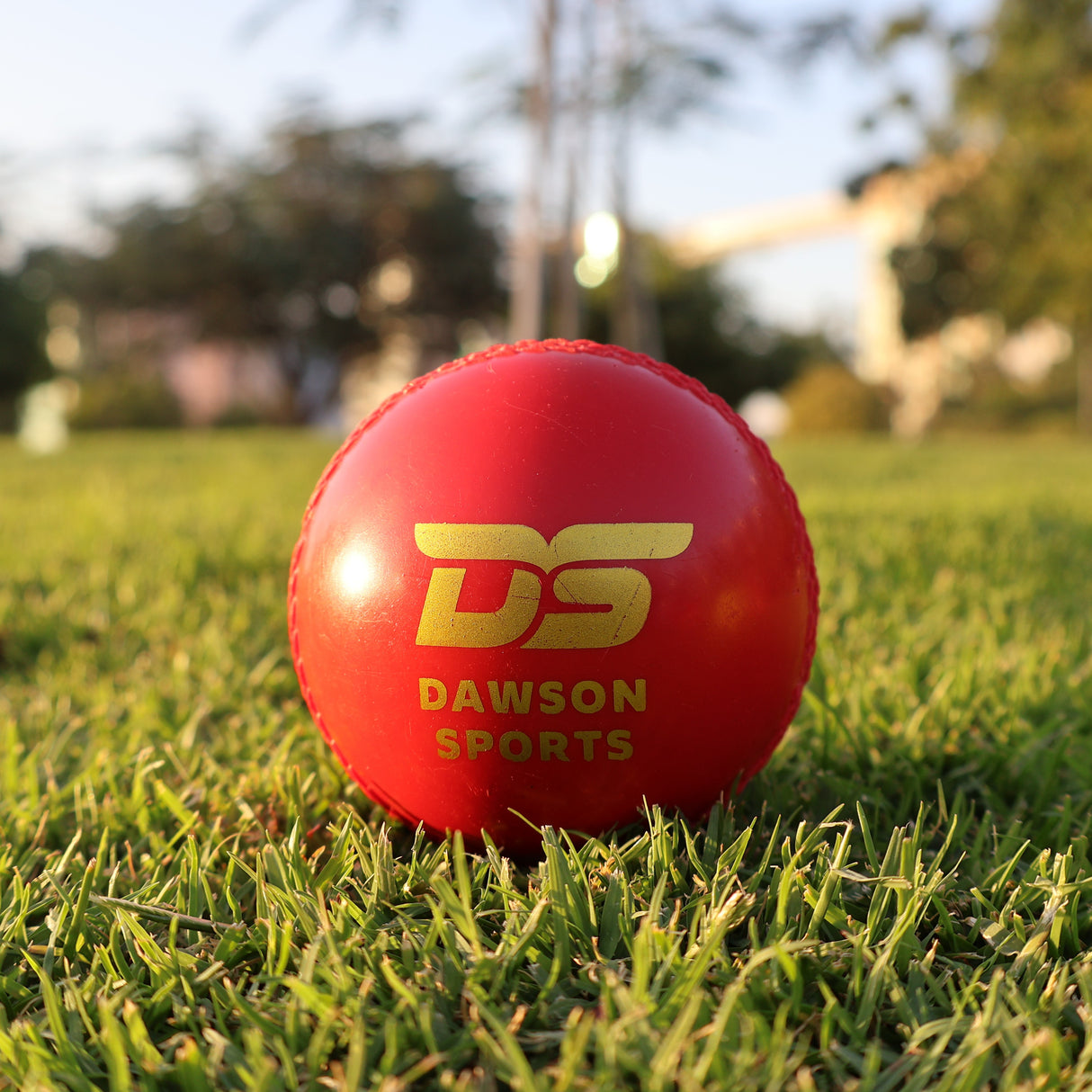 Training Synthetic Cricket Ball