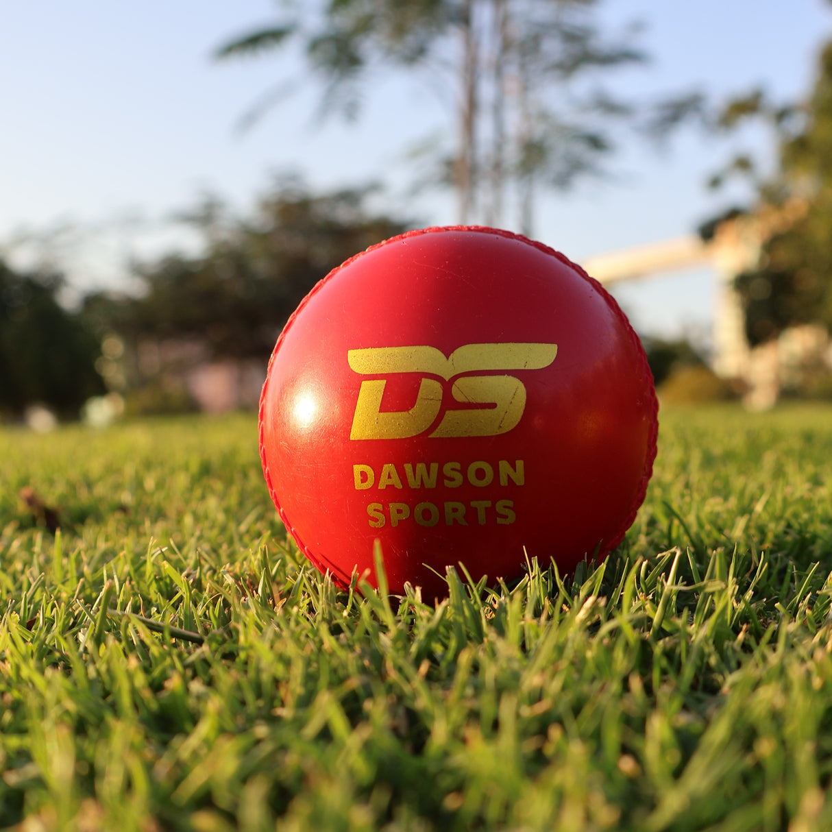 Training Synthetic Cricket Ball