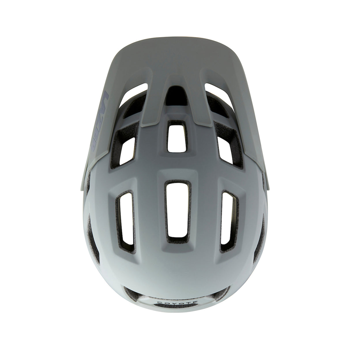 Lazer Coyote / Matte Dark Grey (L) + MIPS