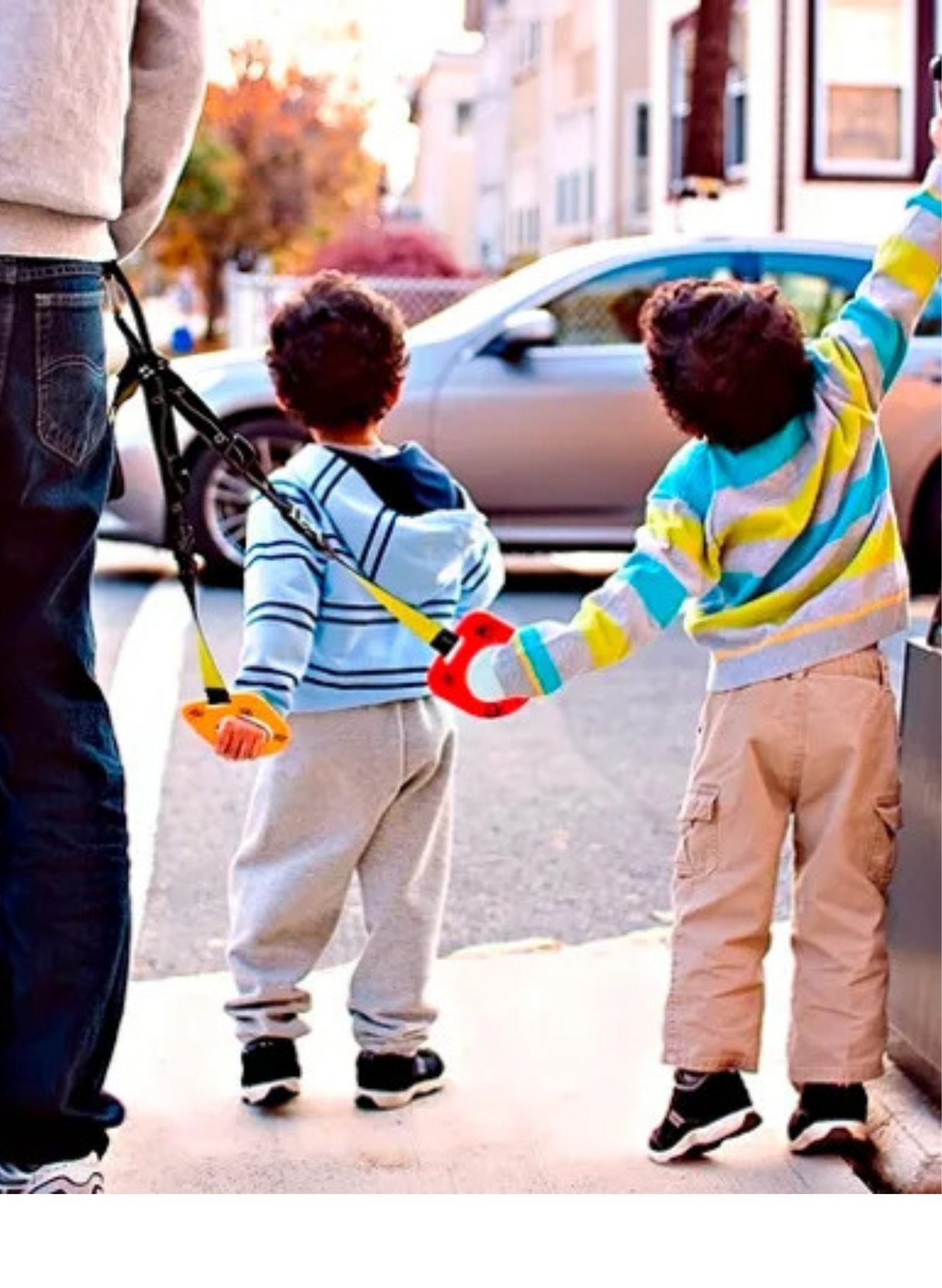 Hold-On-Handle - Biz Bugs - Double - Plastic