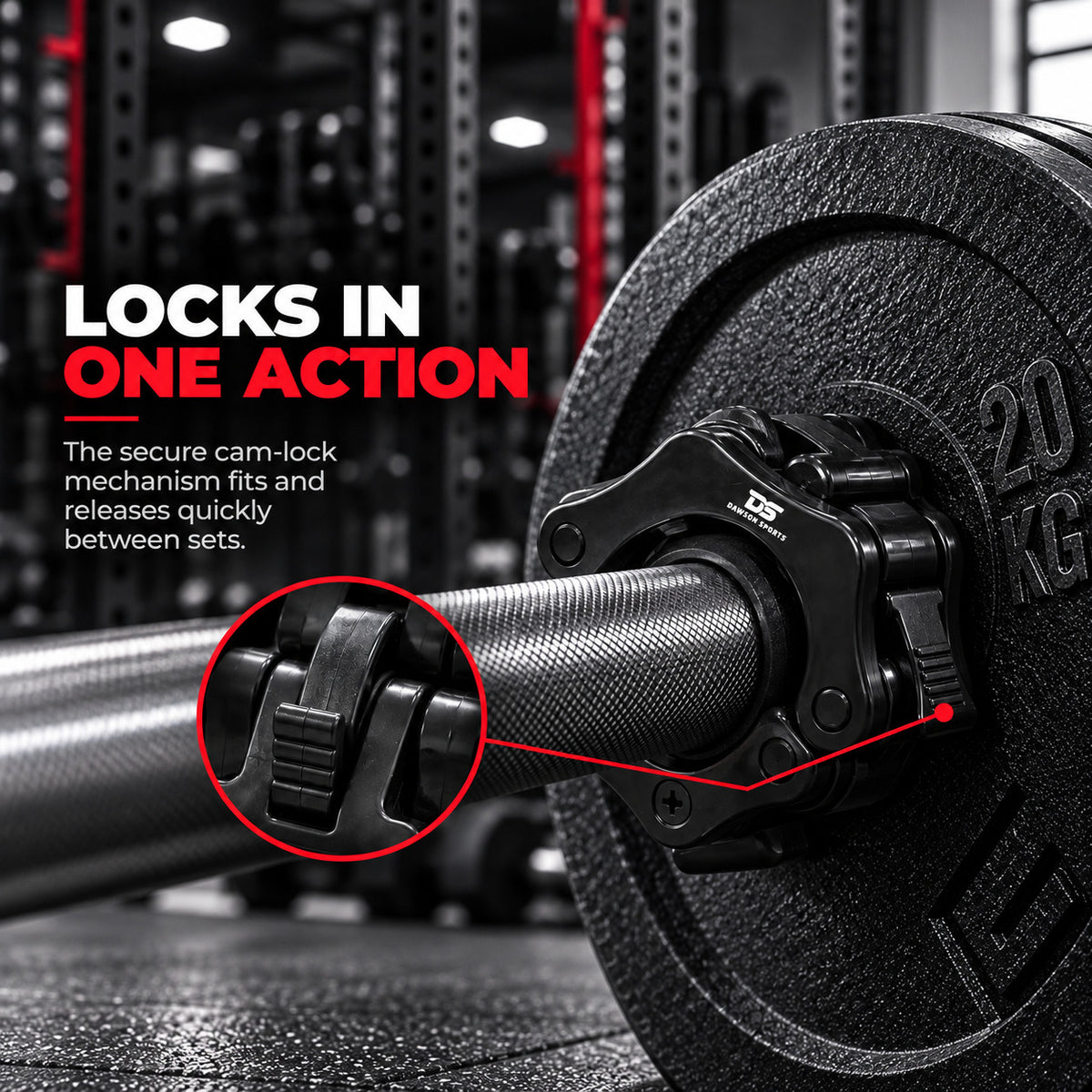 Lock Jaw Collars (Pair)