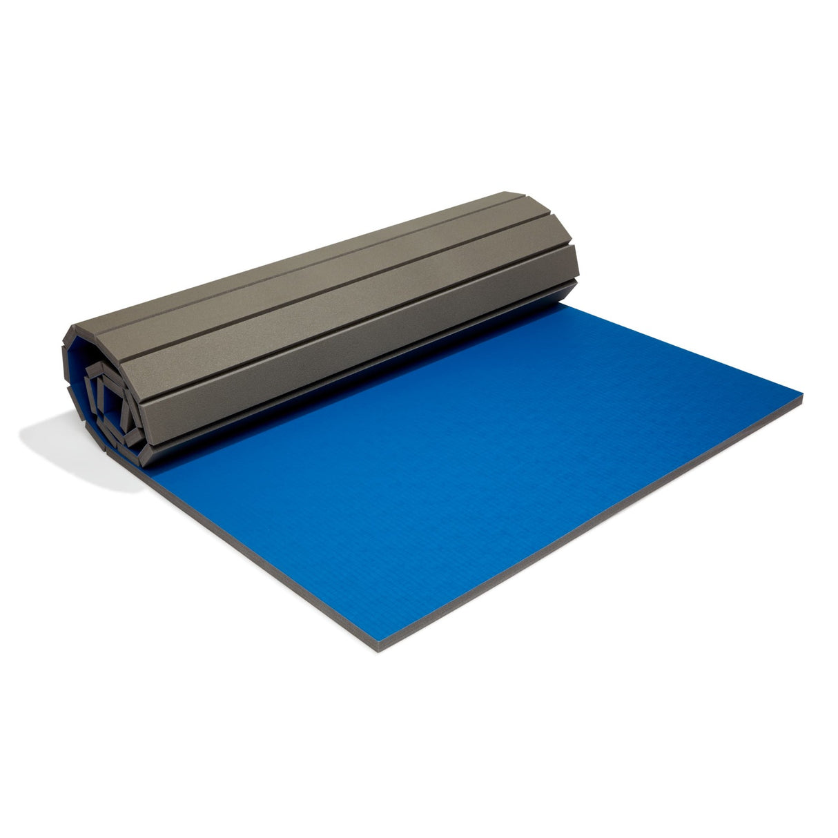 Roll-Out Training Mat