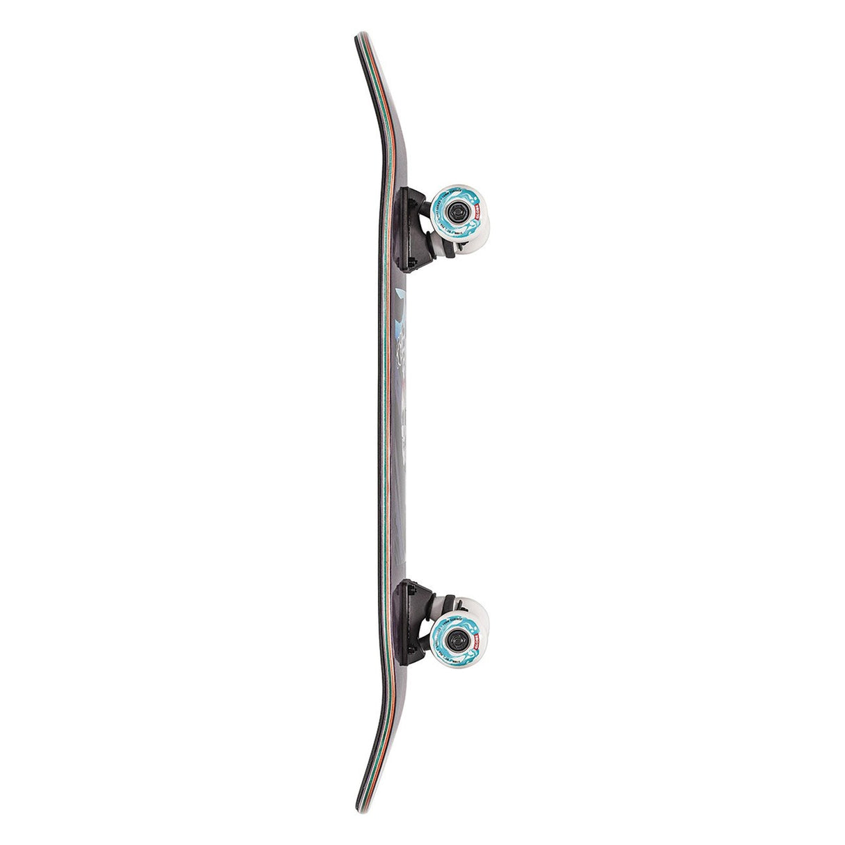 Globe Mt Warning Micro - Atmos 6.5 - Skateboard - Dawson Sports