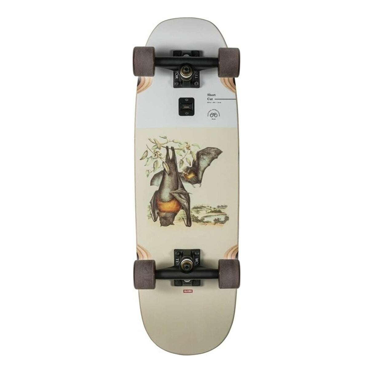 Globe Short Cut - Flying Foxes 28 - Skateboard - Dawson Sports