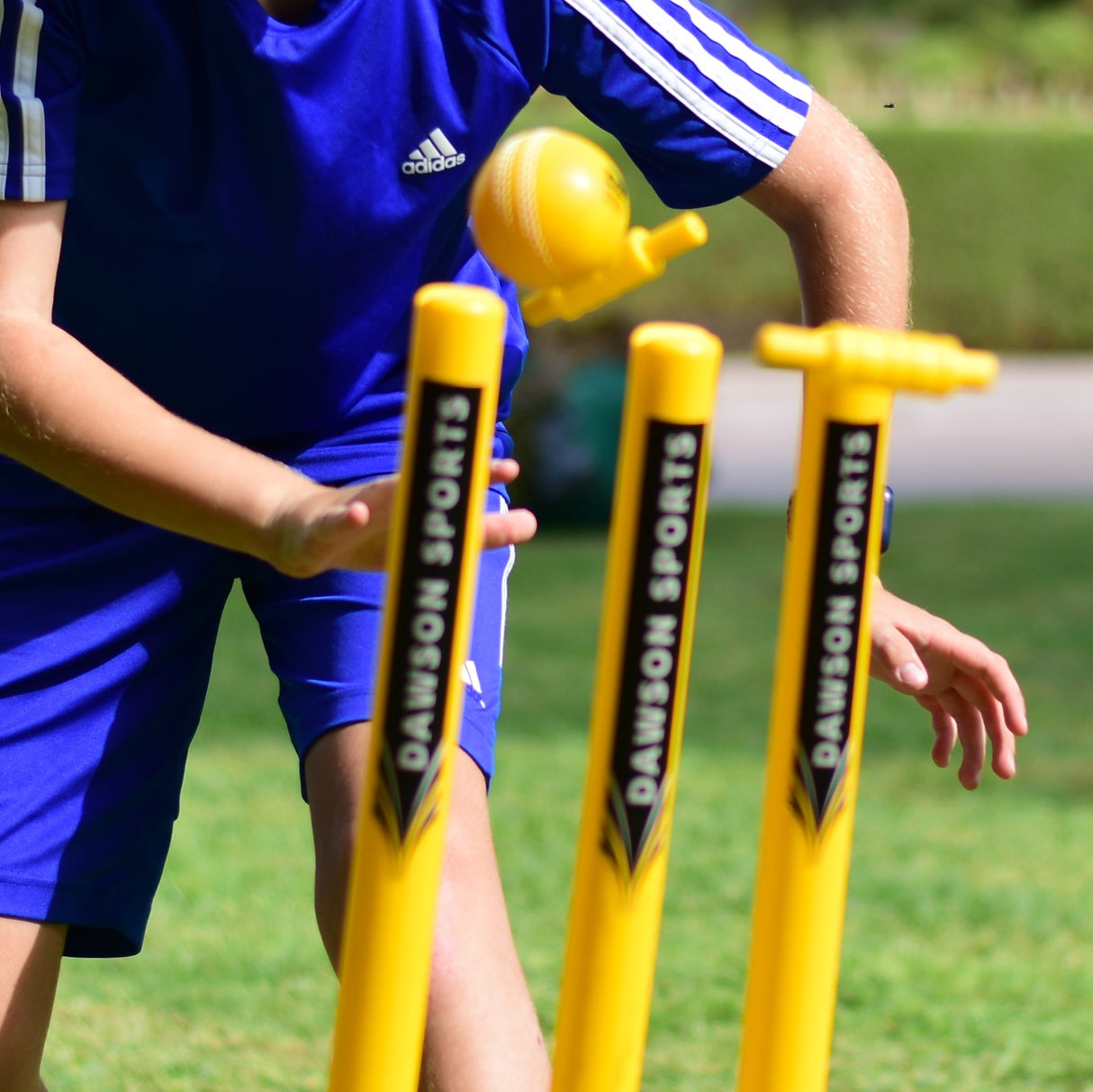 Cricket Set (2 sizes available)