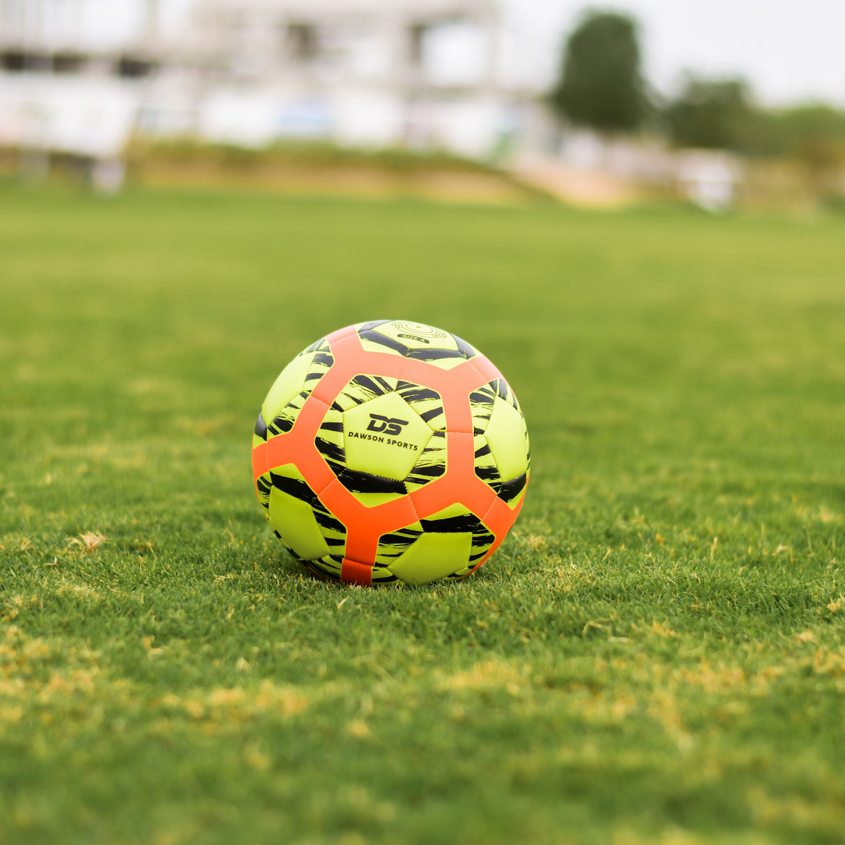 TPU 100 Football (3 sizes available)