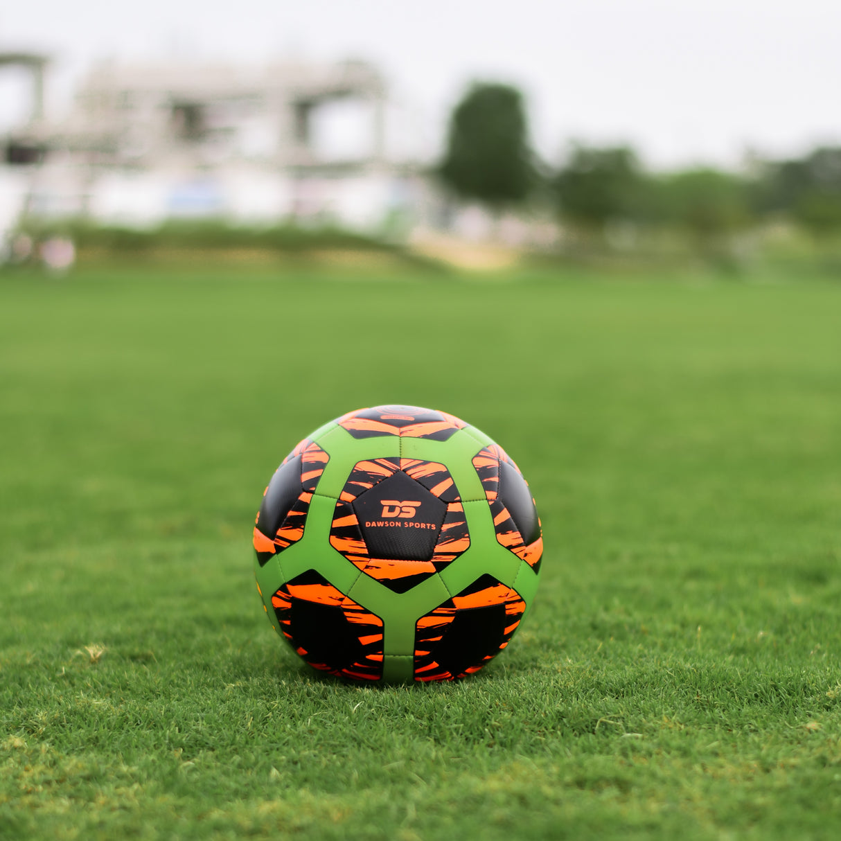 TPU 100 Football (3 sizes available)