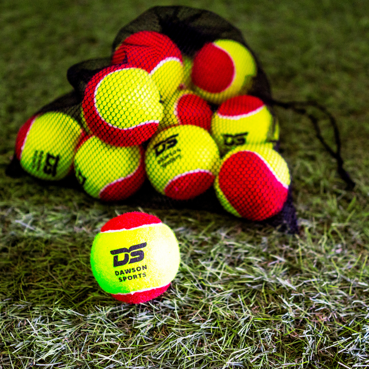 DS Low Bounce Tennis Balls (Pack of 12) - Tennis Balls - Dawson Sports