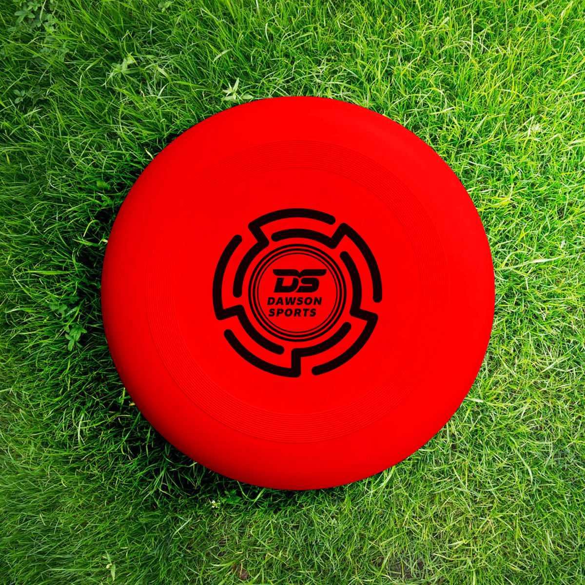 Four Color Frisbee Plastic PVC Frisbee - 25.4cm (4 colors available) – Dawson Sports