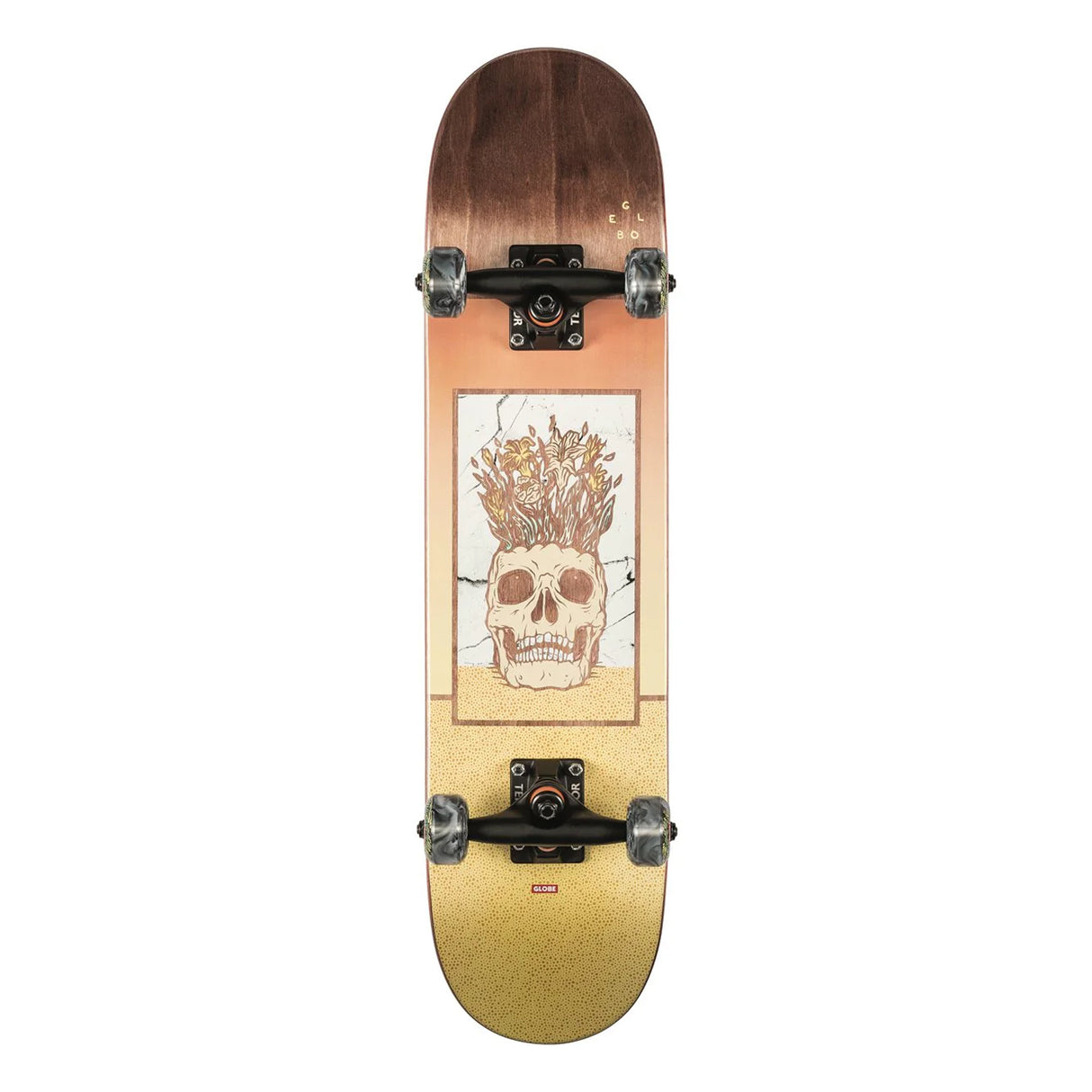 Globe Celestial Growth Mini - Brown 7.0MN