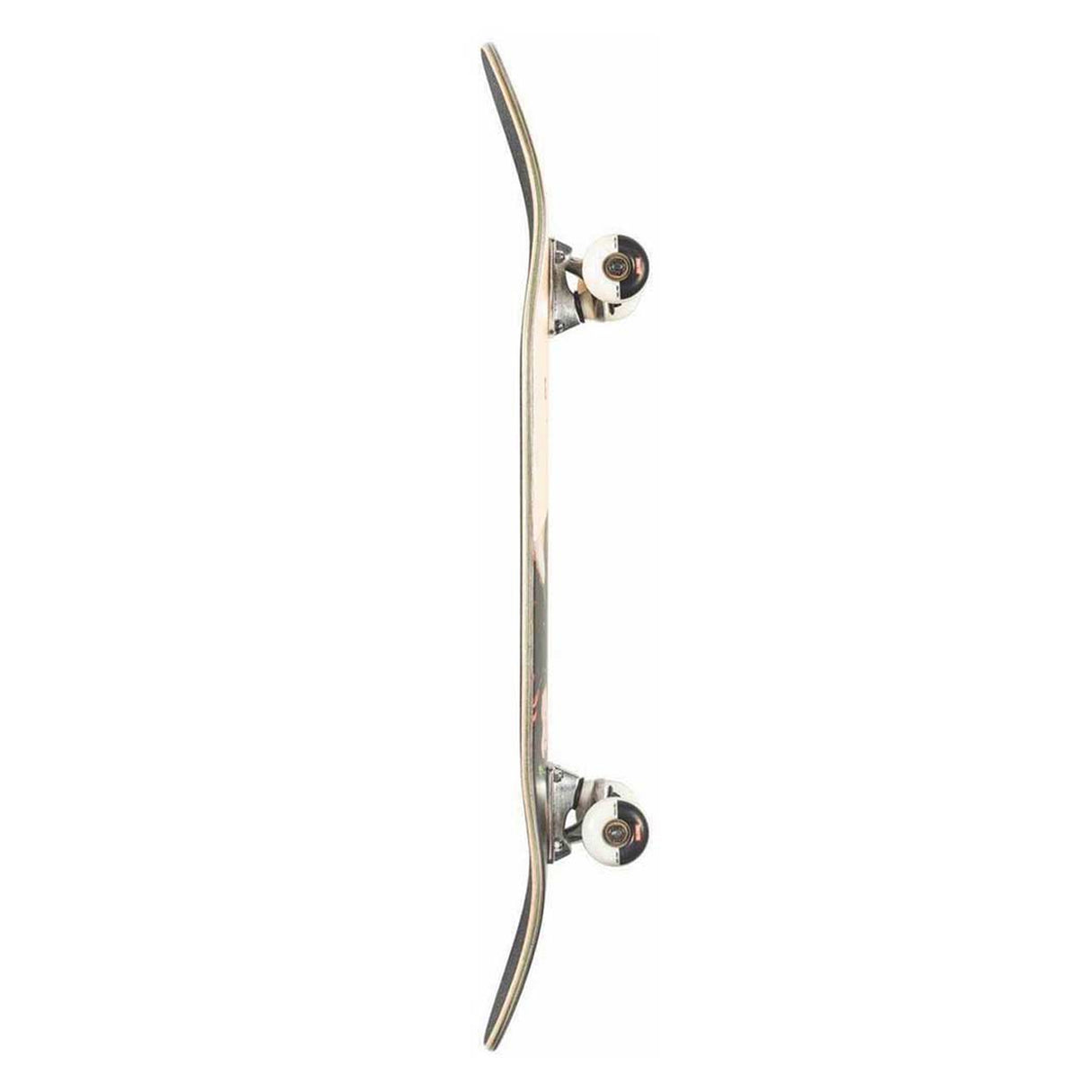 Globe G1 Insignia - Maple/Thornbush 7.75FU