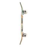 Globe G2 Tarka - Plaza 8.125