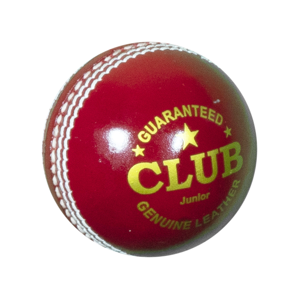 DS Club Leather Cricket Ball
