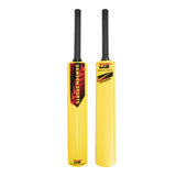 DS Cricket Set (2 sizes available)