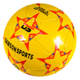 International Football (3 sizes available)