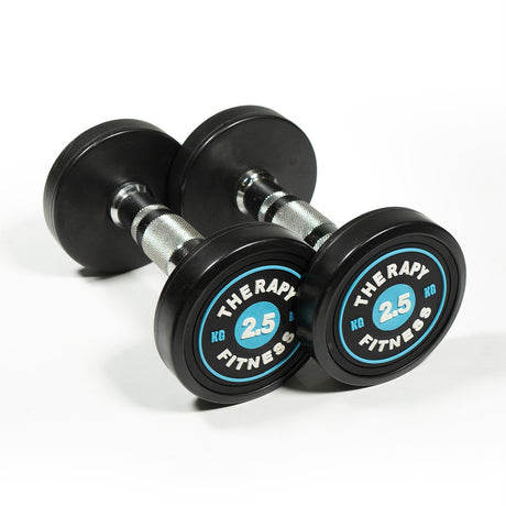 Cast Iron Round Dumbbells (Pair)