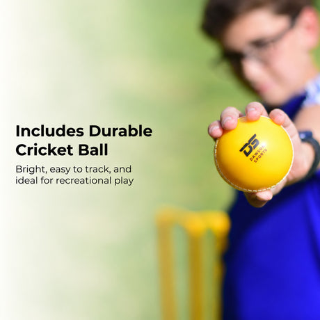 Cricket Set (2 sizes available)