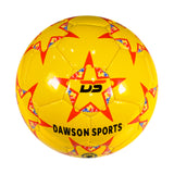 Mini Football (2 sizes available)