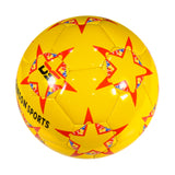 Mini Football (2 sizes available)
