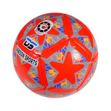 Mini Football (2 sizes available)