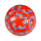 Mini Football (2 sizes available)