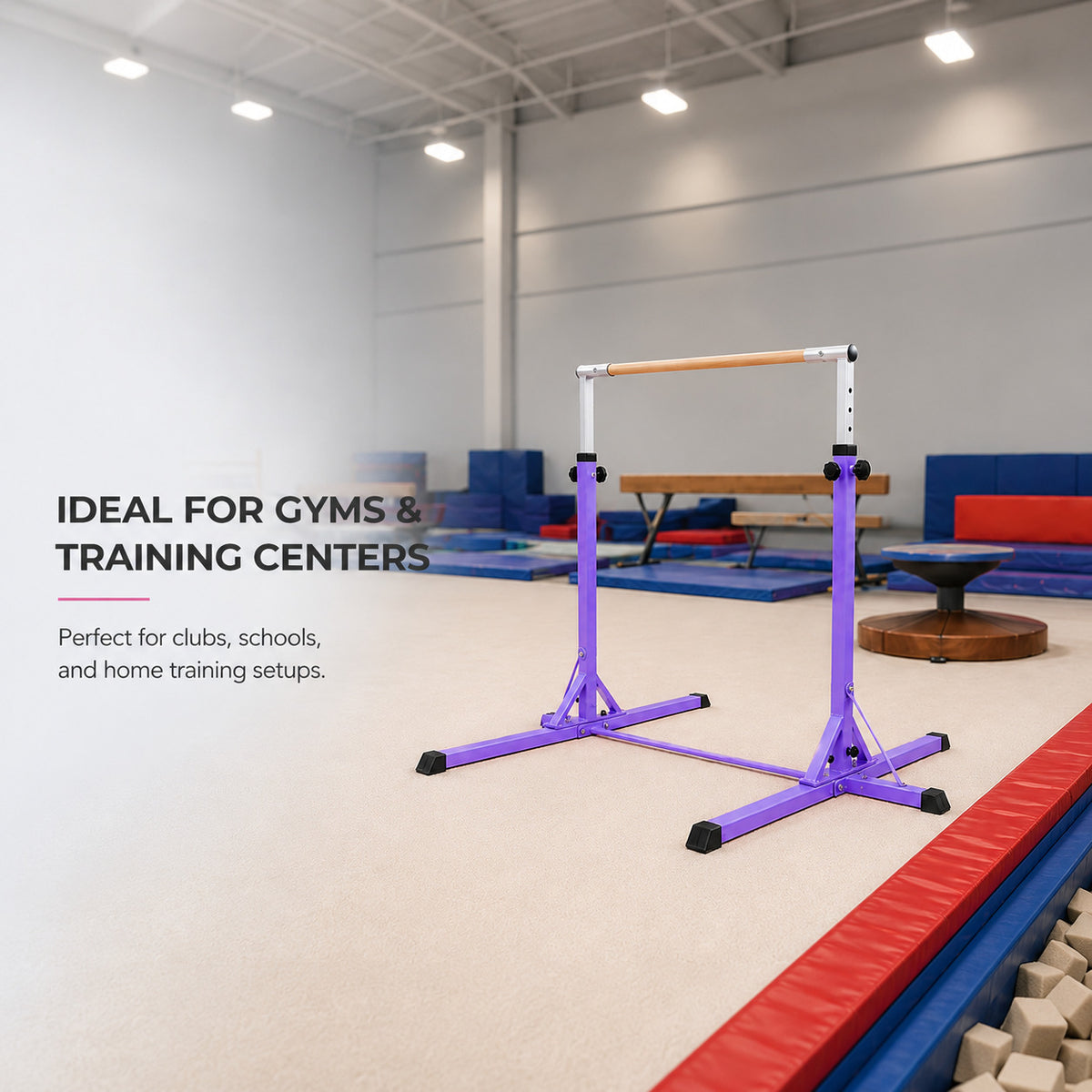 Simple Training Horizontal Bar - Purple