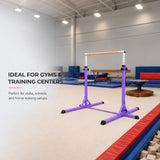 Simple Training Horizontal Bar - Purple