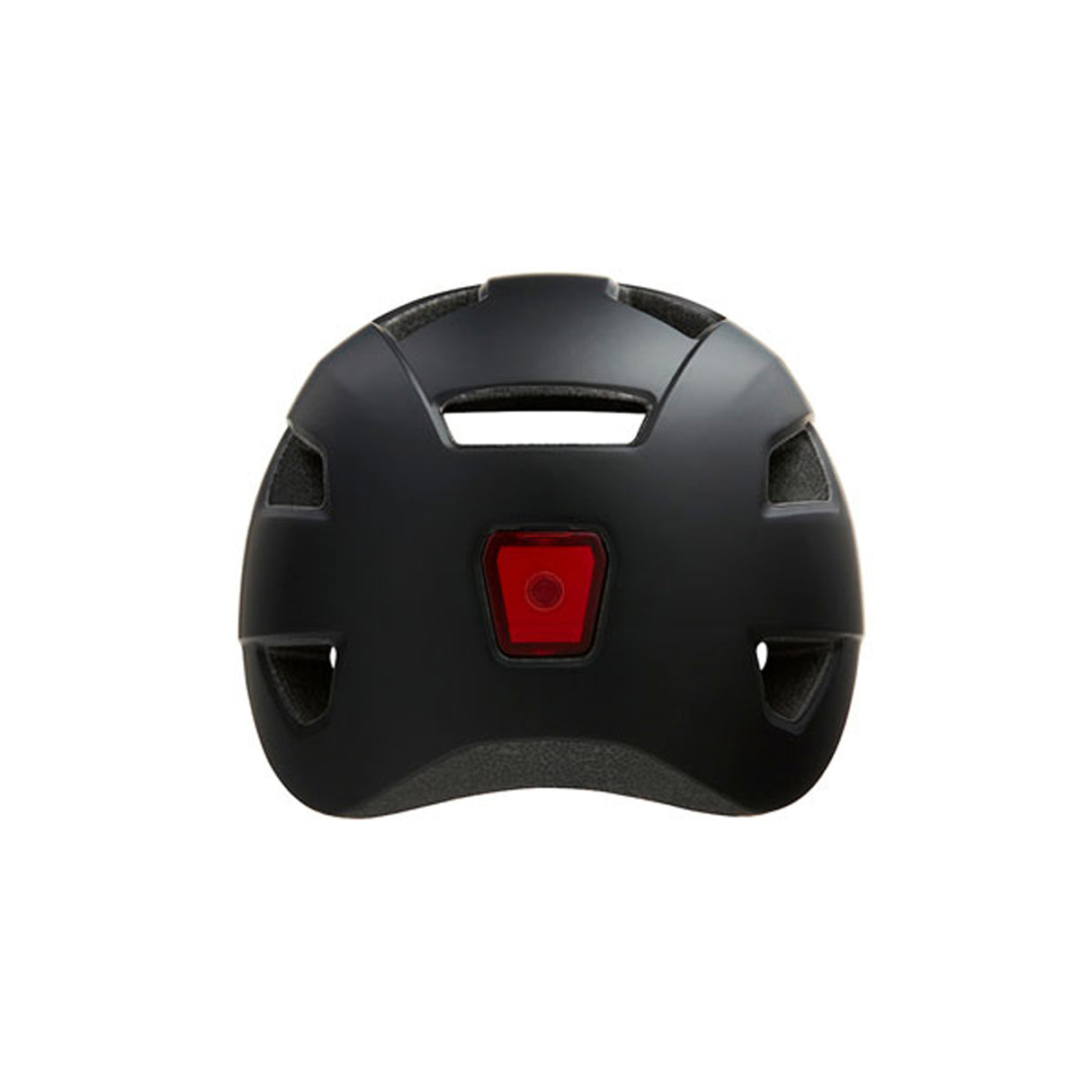 Lazer Lizard  / Black