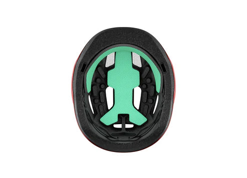 Lazer Pnut KC / Ladybug