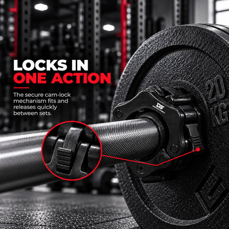 Lock Jaw Collars (Pair)