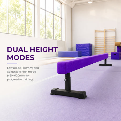 Lower Height Adjustable Balance Beam