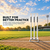 Metal Stumps Set