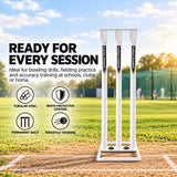 Metal Stumps Set