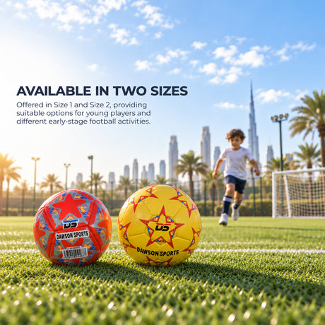Mini Football (2 sizes available)
