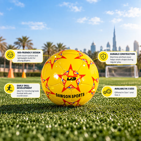 Mini Football (2 sizes available)