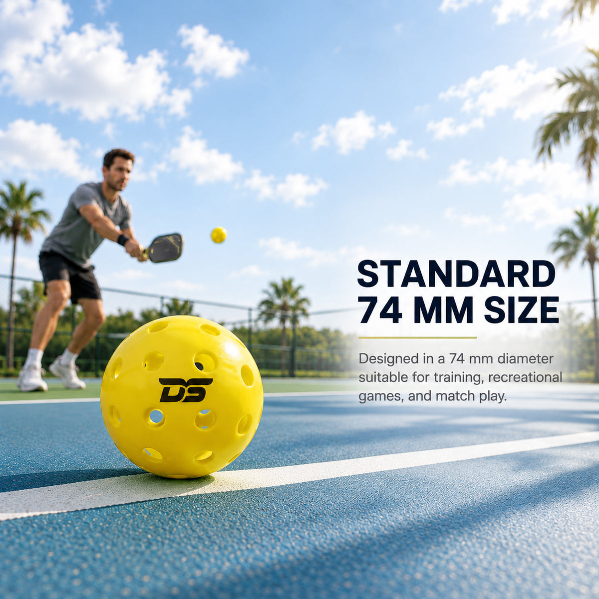 Pickleballs - Outdoor