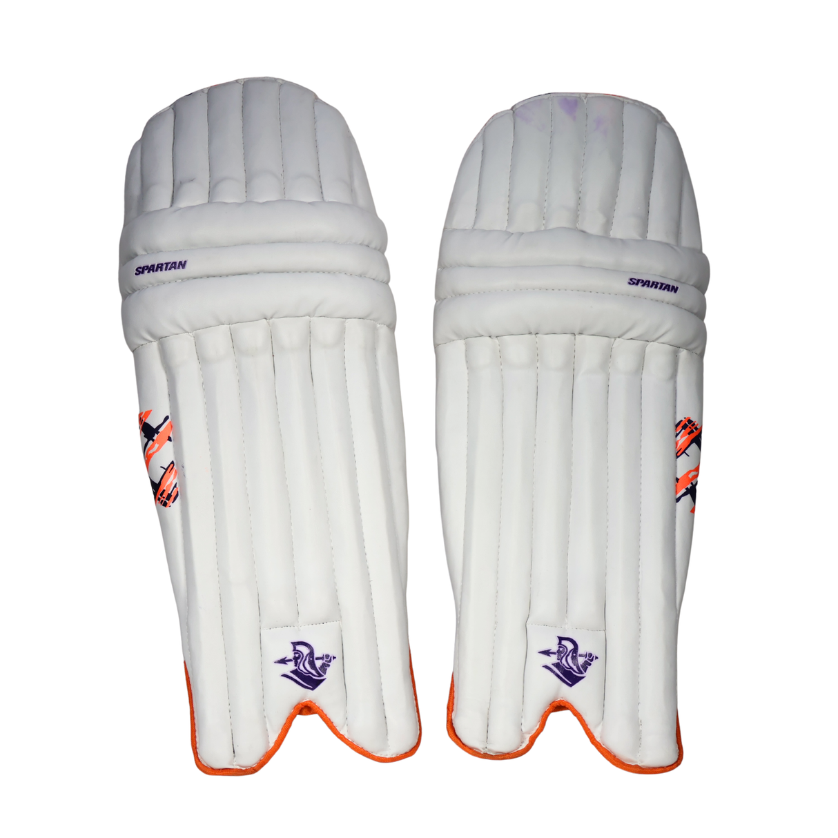 Spartan Kashmir Willow Cricket Kit
