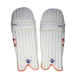 Spartan Kashmir Willow Cricket Kit