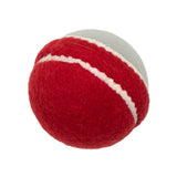 Irish Swing Cricket Ball