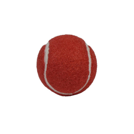 Coloured Tennis Balls (Pack of 12) - Tennis Balls - Dawson Sports