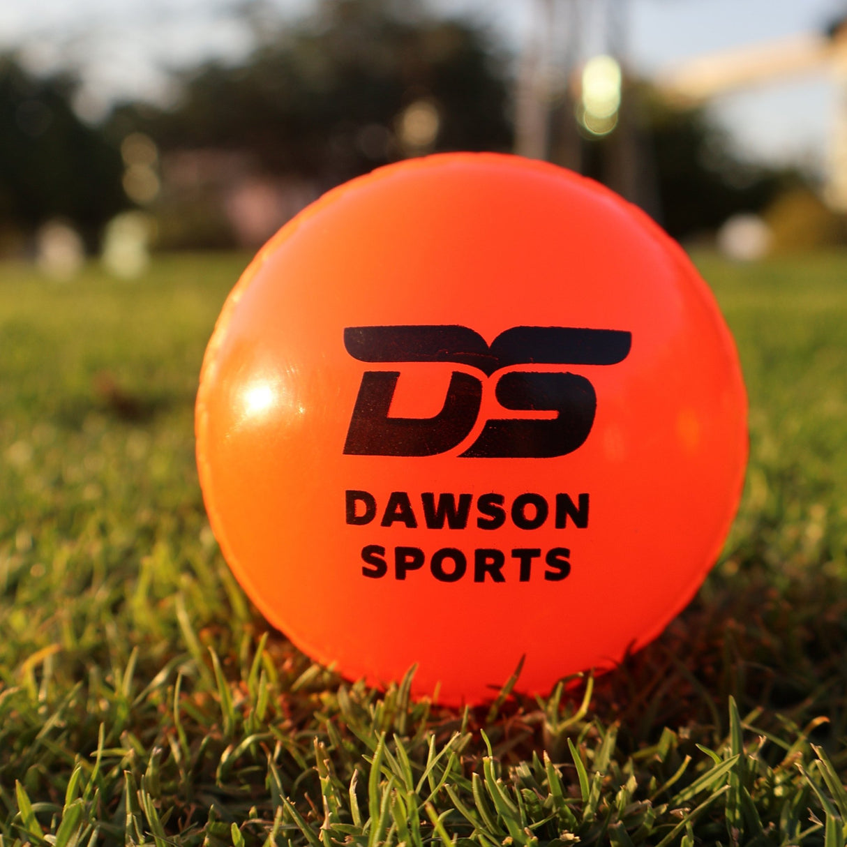 Cricket Wind Ball - Cricket Balls - Dawson Sports